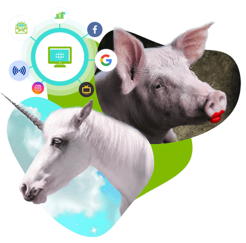 image of pig wearing lipstick, white unicorn, and social graphic icons